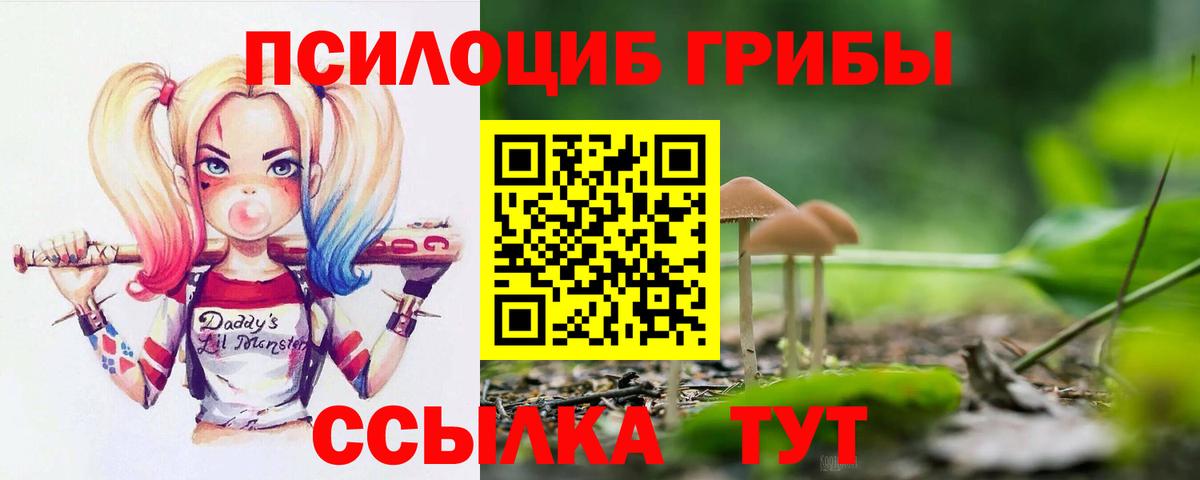 Псилоцибиновые грибы мицелий  Вход с VPN  Курчатов  Псилоцибиновые грибы Magic Shrooms 